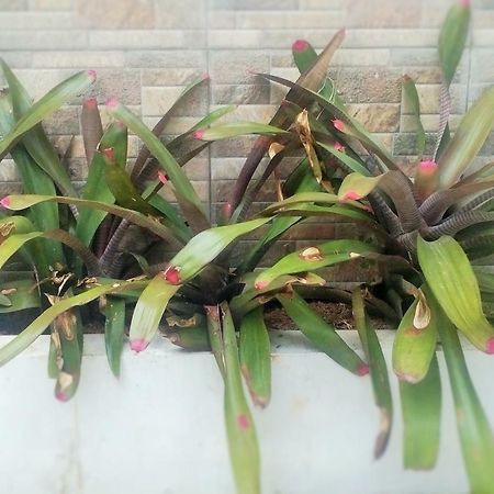 Homestay Bumi Asri III Cikutra Bandung Extérieur photo